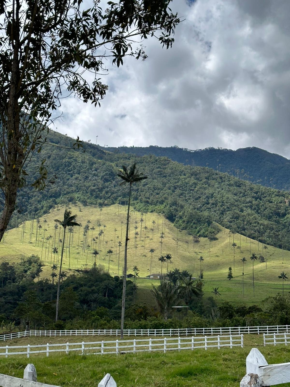 Colombian Landscapes 2